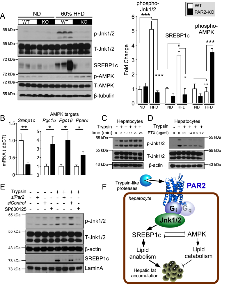 Figure 6