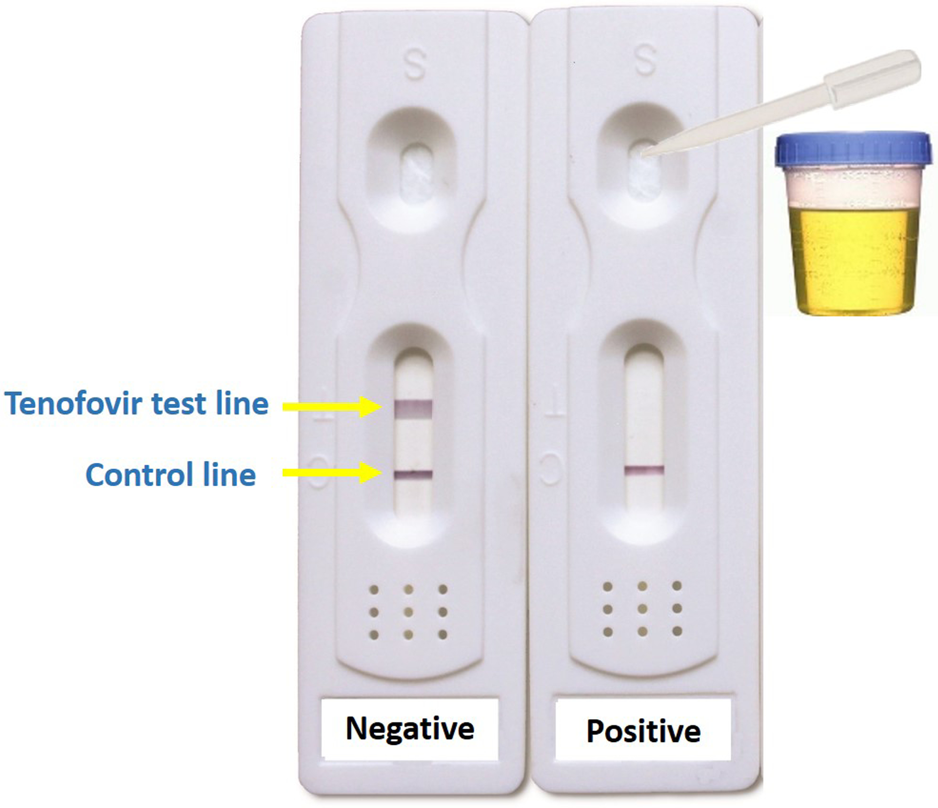 Figure 1: