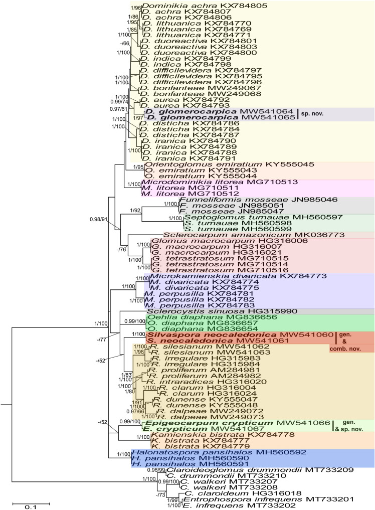 FIGURE 2