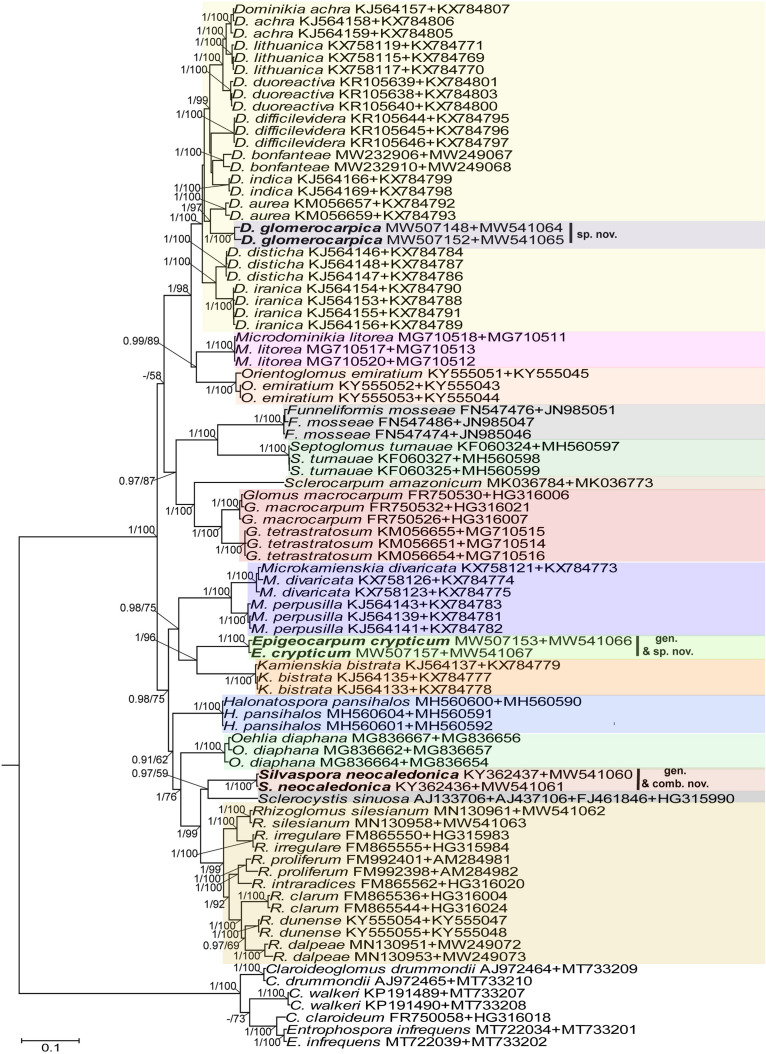 FIGURE 3