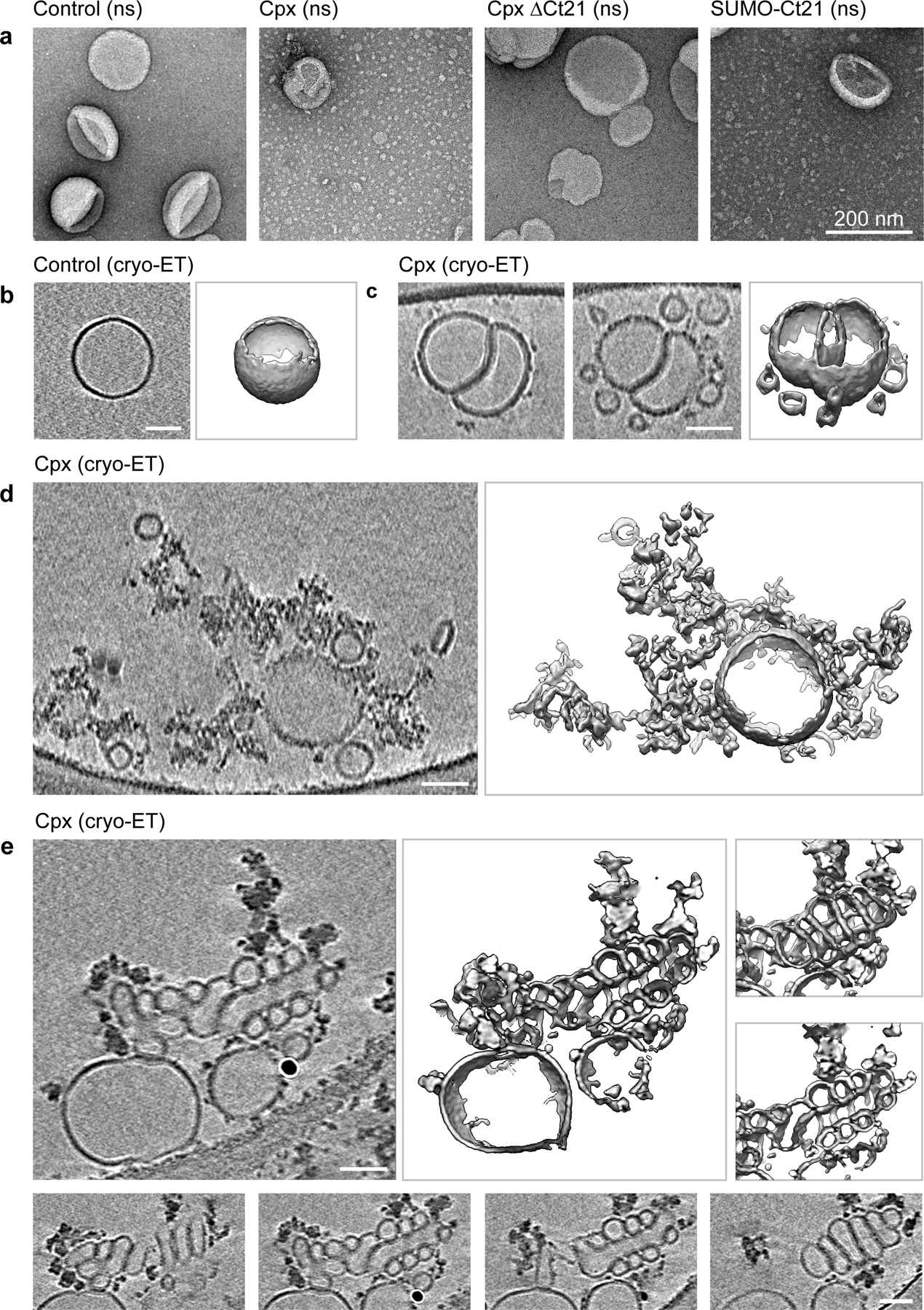 Fig 4.