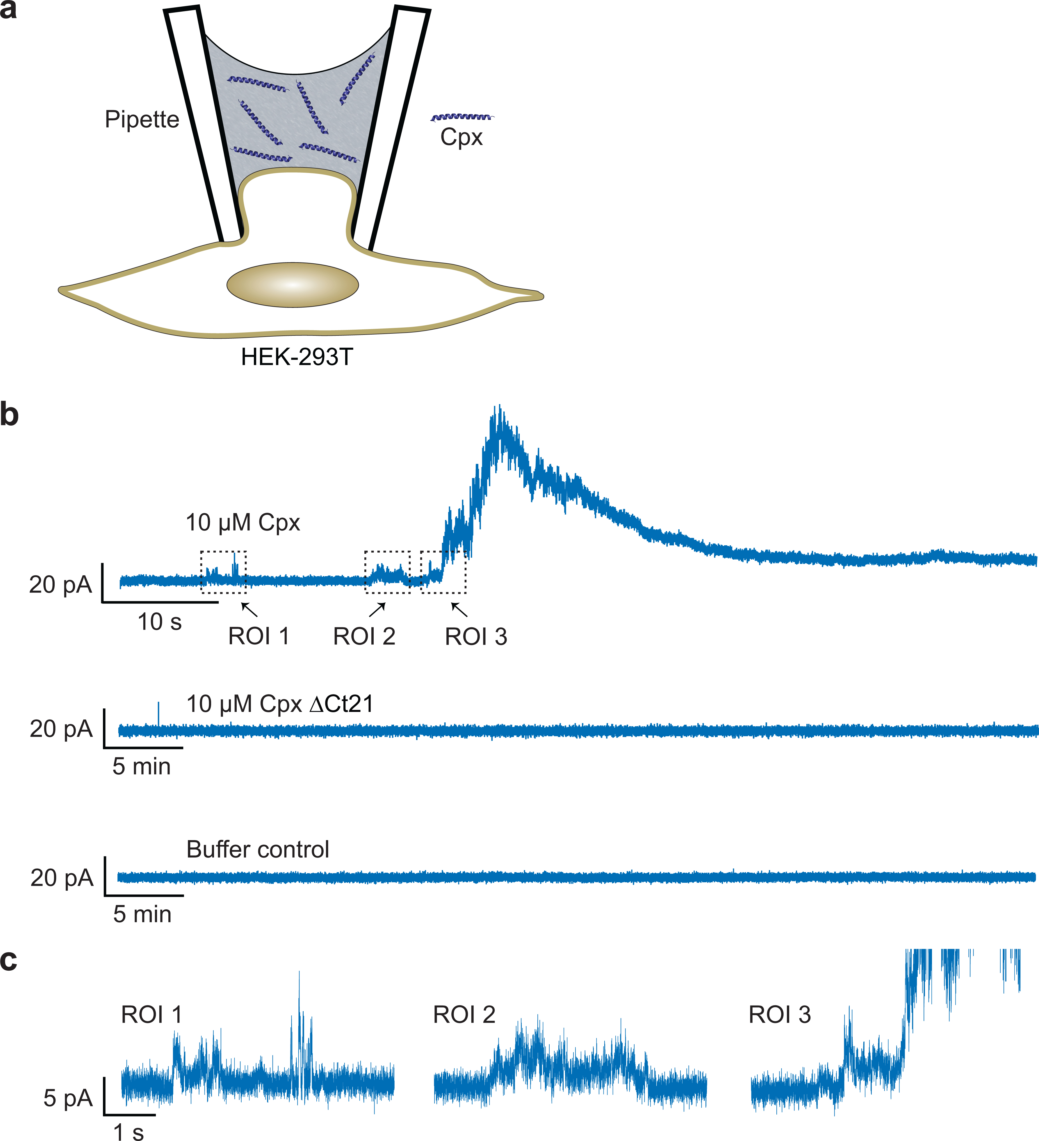 Extended Data Fig. 4