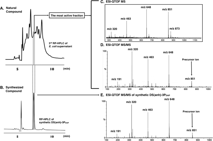 FIGURE 2.