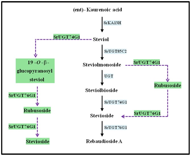 Figure 7