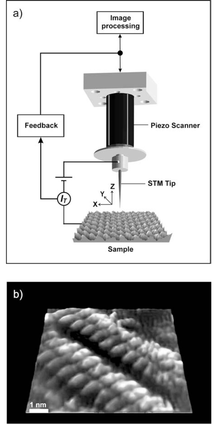 Fig. (1)