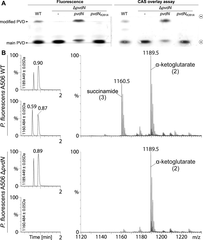 FIGURE 4.