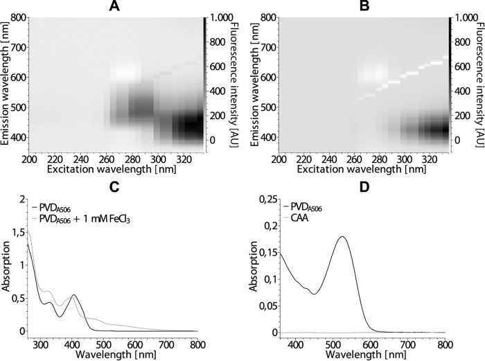 FIGURE 2.