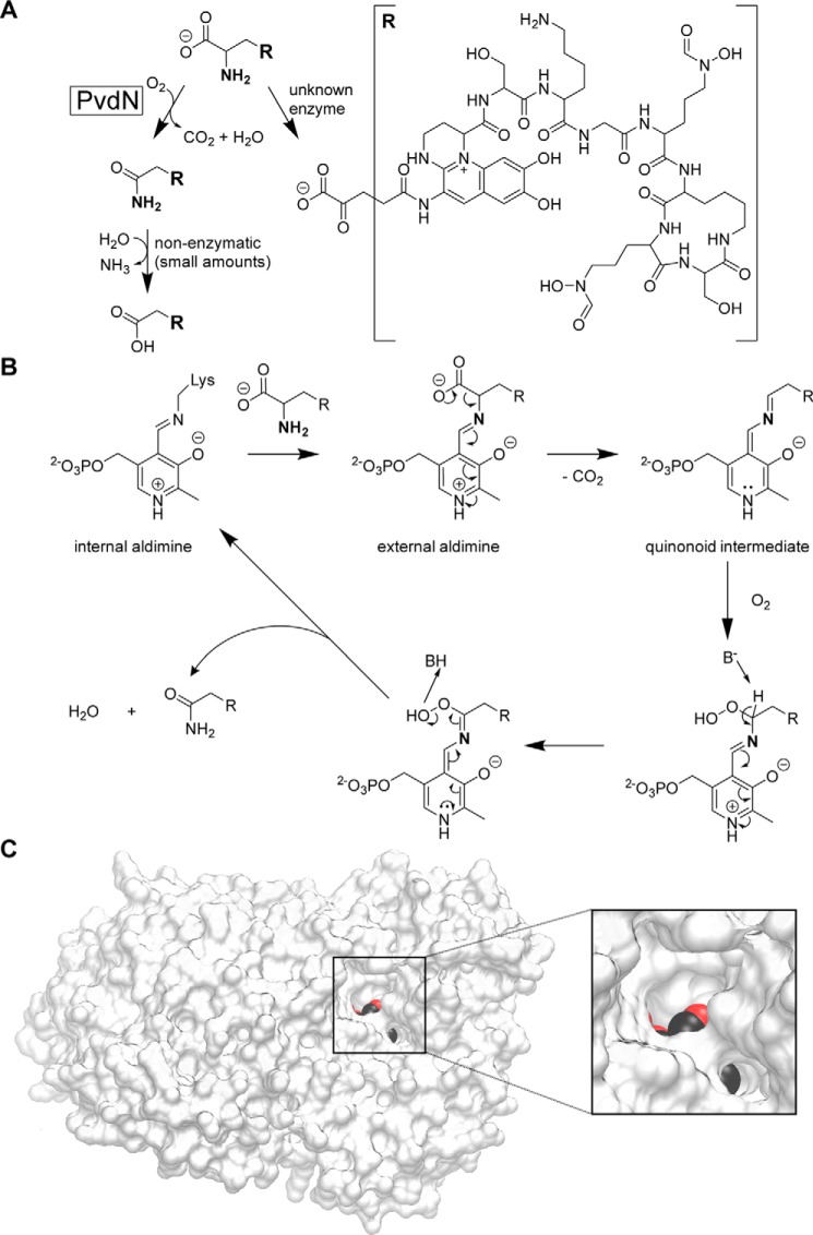 FIGURE 7.