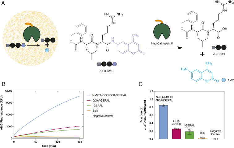 Fig. 4.