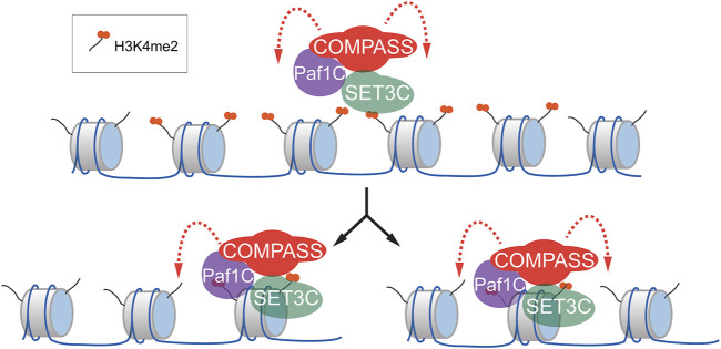 FIGURE 2