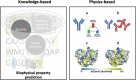 On the left, a funnel showing various knowledge-based approaches and used to predict the developability properties of biologics. To the right, antibodies with different folding and hydrophobicity illustrate examples of physics-based properties important for the developability.