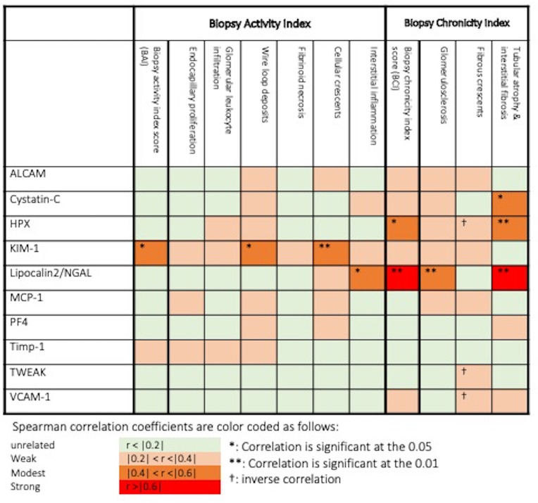 Figure 6