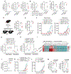 Figure 5: