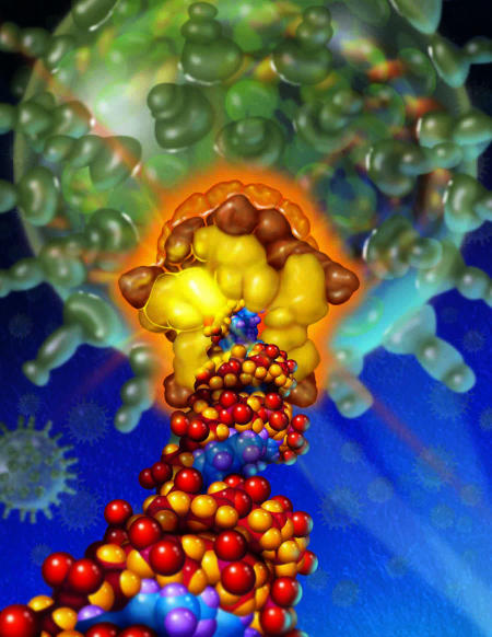 The bacteriophage φ29 DNA-packaging machine. Double-stranded DNA is driven into the preformed capsid shell by a complex and powerful molecular motor. Image: Precision Graphics (Champaign, Illinois), K. Aathavan and Y. Chemla (University of California Berkeley)