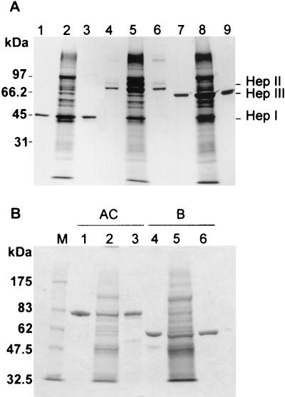 FIG. 5.