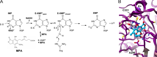 FIGURE 1.