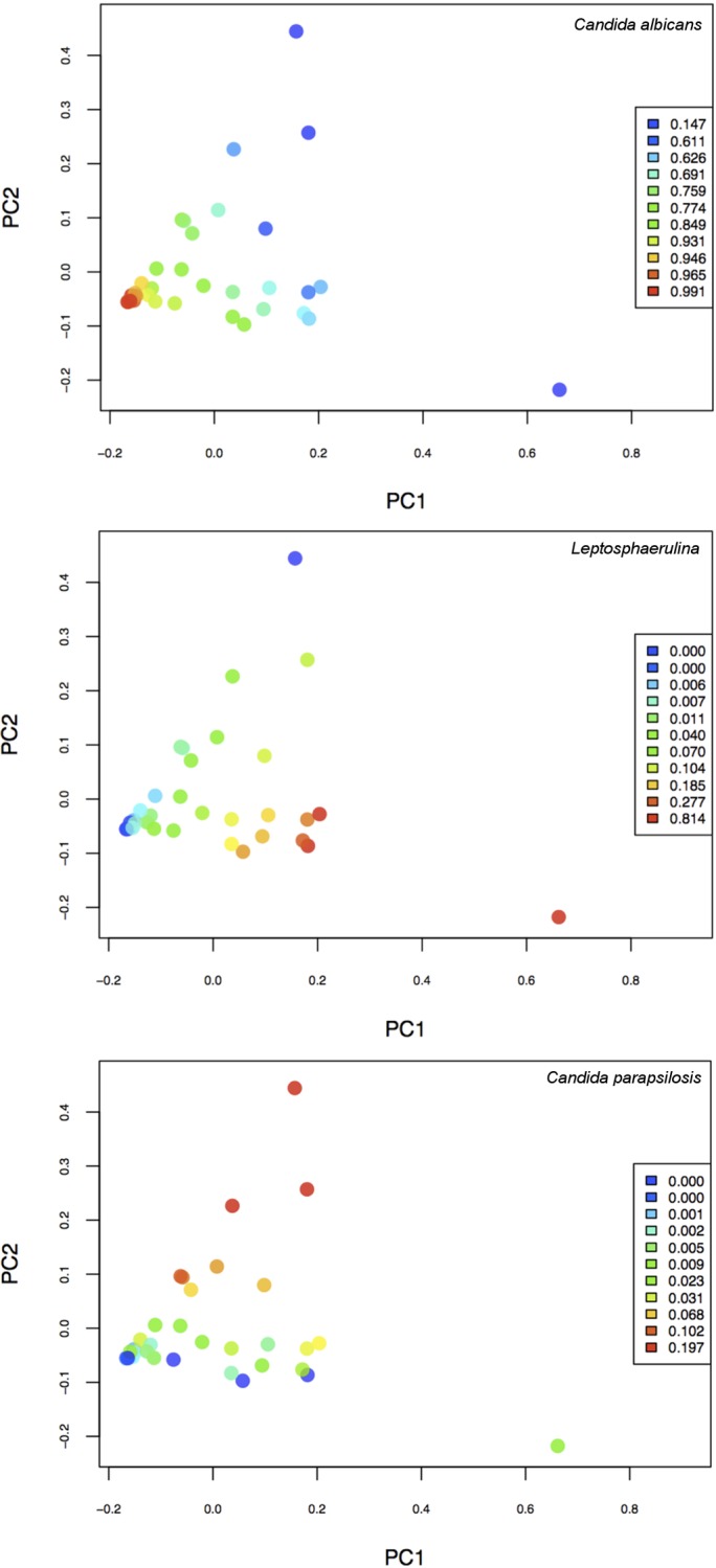 Fig 4