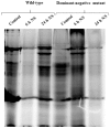 Fig 8