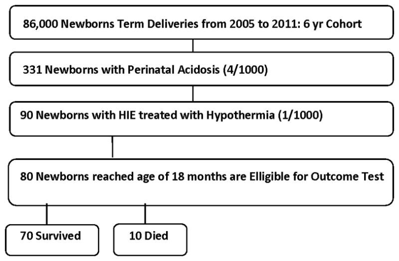 FIGURE 1