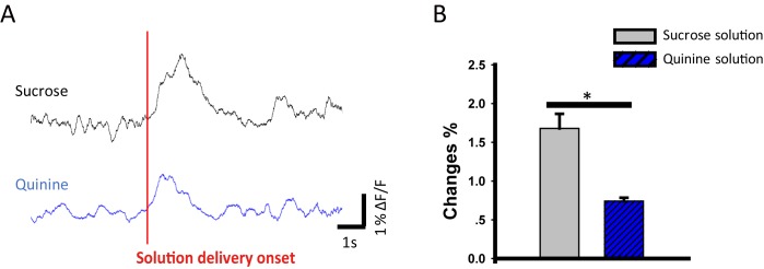 Figure 2—figure supplement 1.