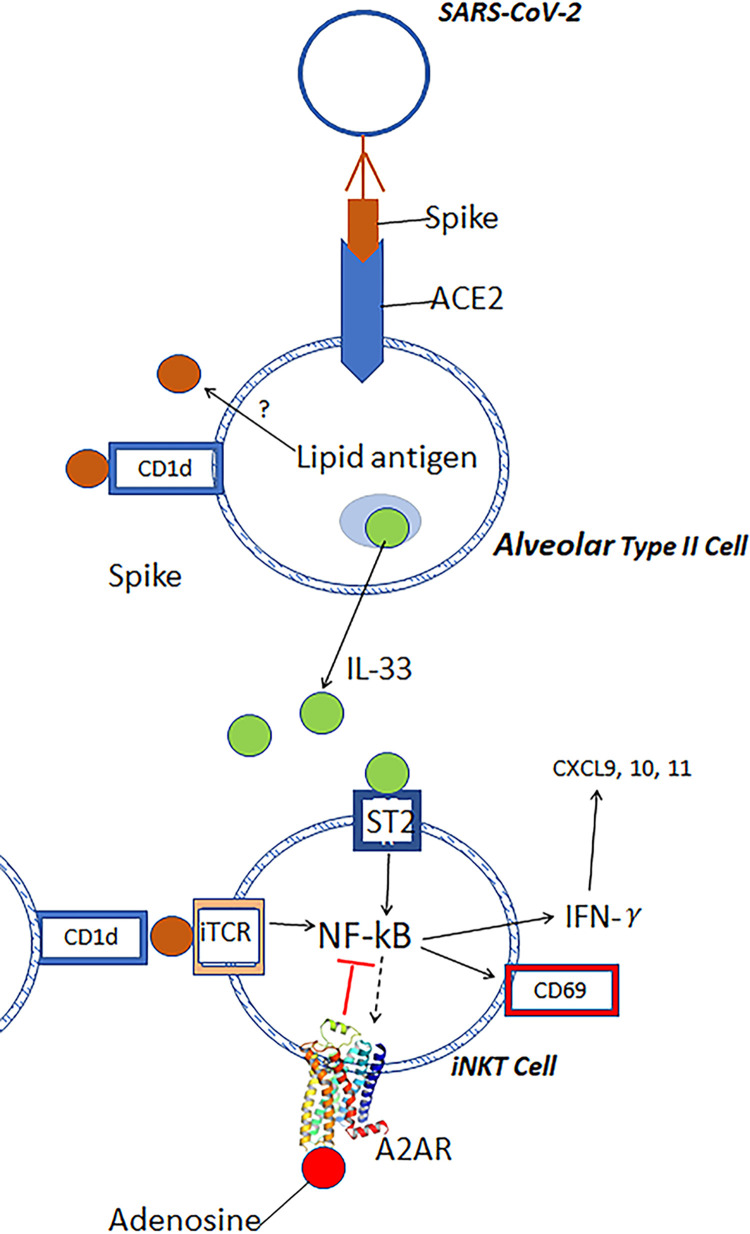 Fig 7