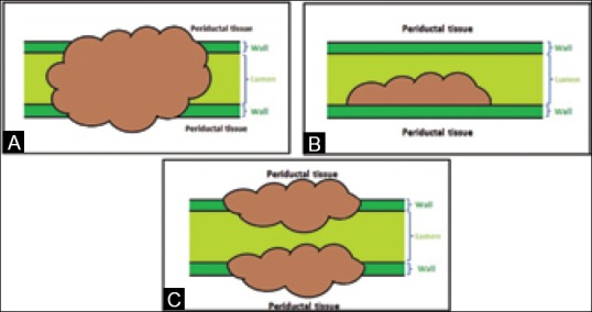 Figure 3 (A-C)