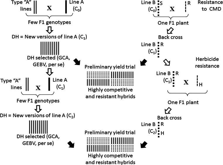 Fig. 3