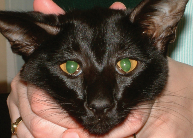 Fig 14