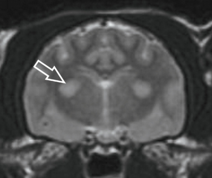 Fig 18