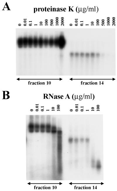 FIG. 7