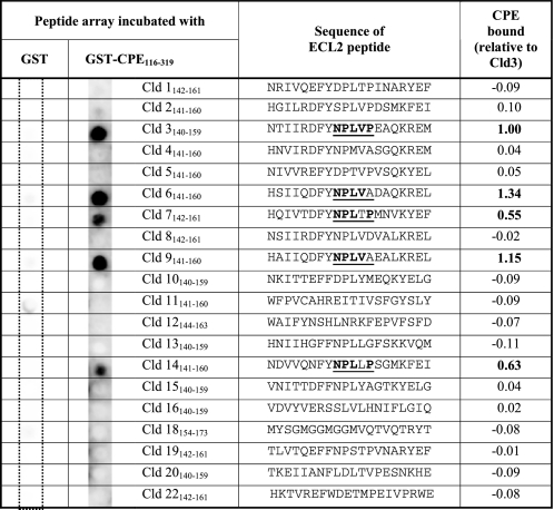 graphic file with name zbc031098156t001.jpg