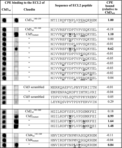 graphic file with name zbc031098156t002.jpg