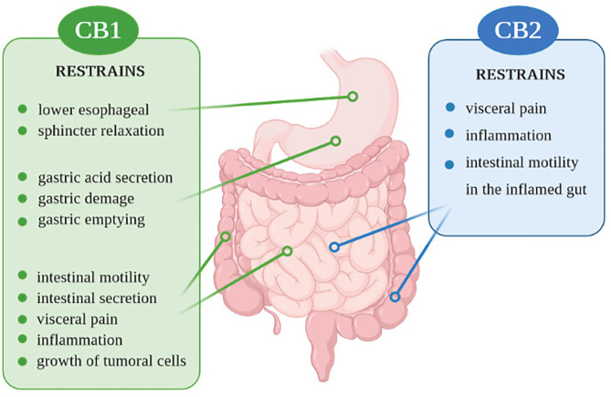 Figure 1