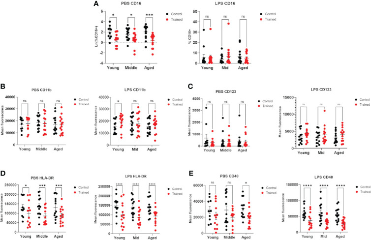 Figure 6