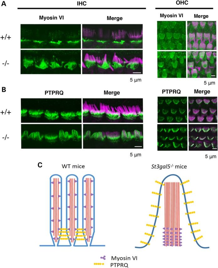 Figure 6.