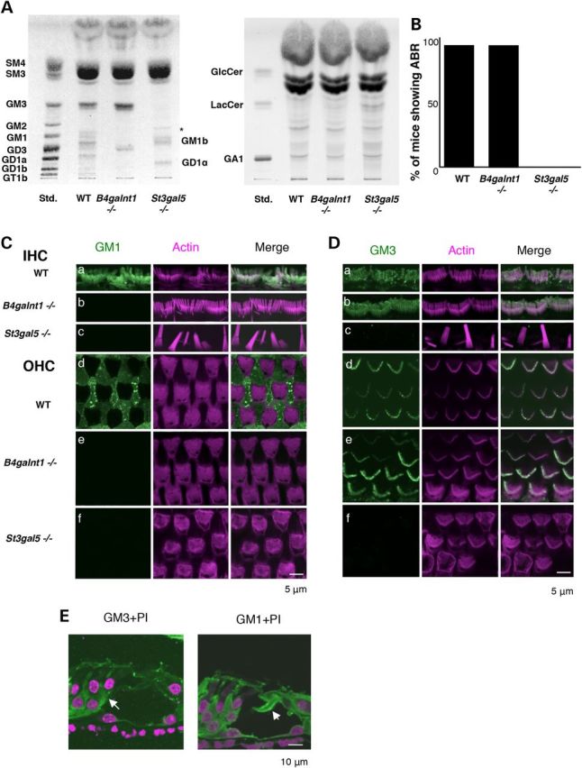 Figure 3.