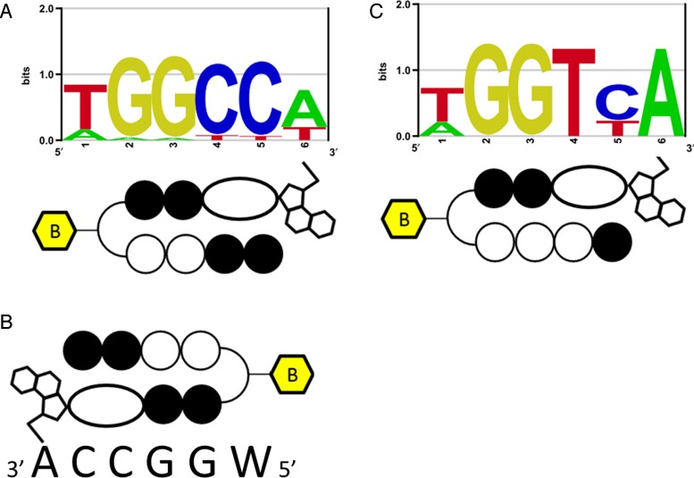 Figure 2.