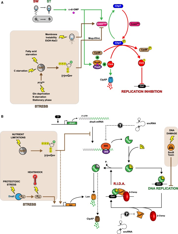 Figure 3.