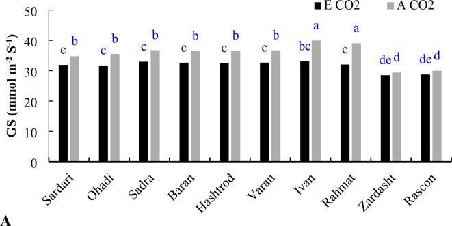 Fig. 8