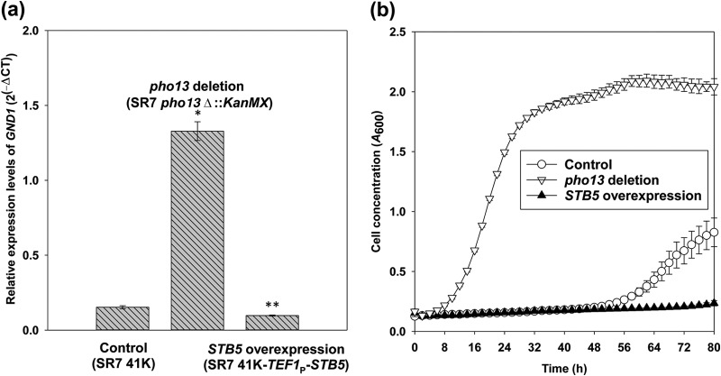 FIG 7