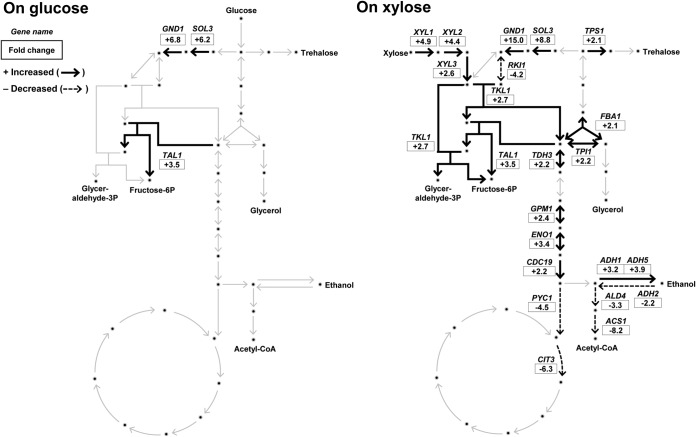 FIG 3