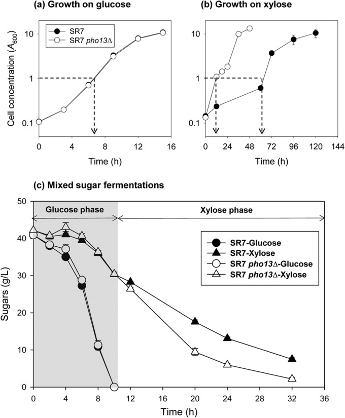 FIG 1