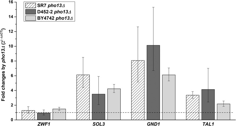 FIG 4