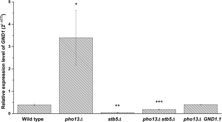 FIG 6