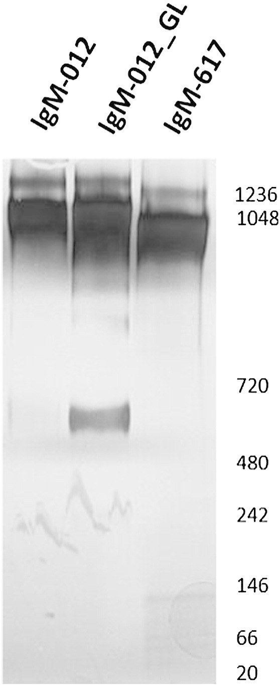 Fig. 2