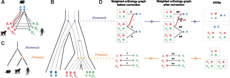 Fig. 6