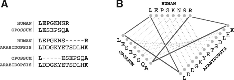 Fig. 9