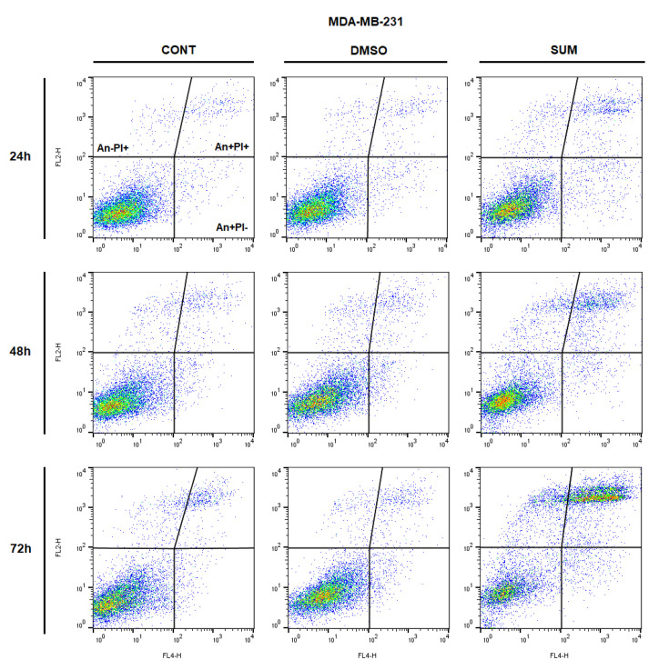 Figure 13