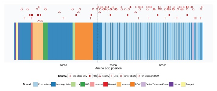 Figure 7—figure supplement 1.