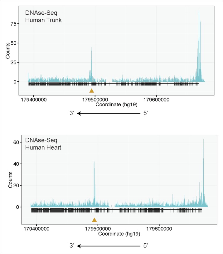 Figure 4—figure supplement 2.